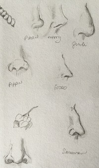 SKetches of Noses