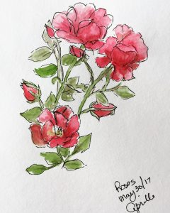 Sketch Choices - Roses