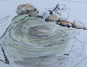 Sketch of a tide pool