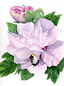 Bee in my Bonnet, watercolour, 9x12"