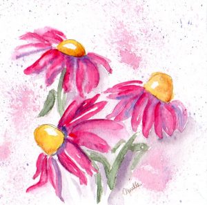 Bright and Loose, watercolour on panel, 6x6", Pink Echinacea