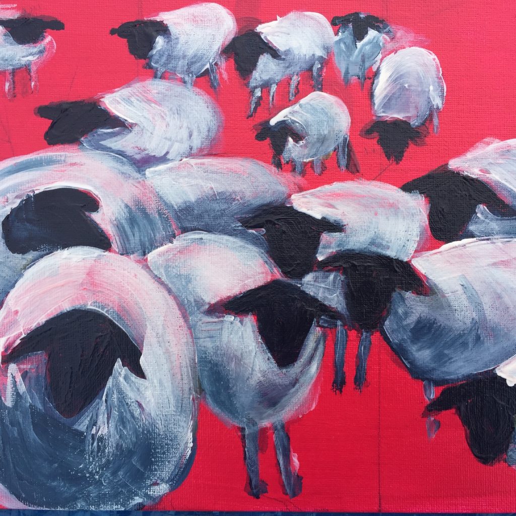 sheep on red background