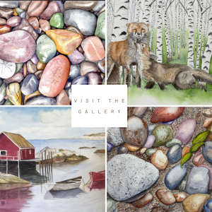 Visit my Gallery